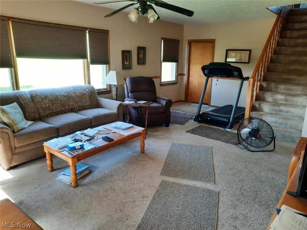 66177 Wintergreen Road Lore City, OH 43755 - Photo 3 of 19