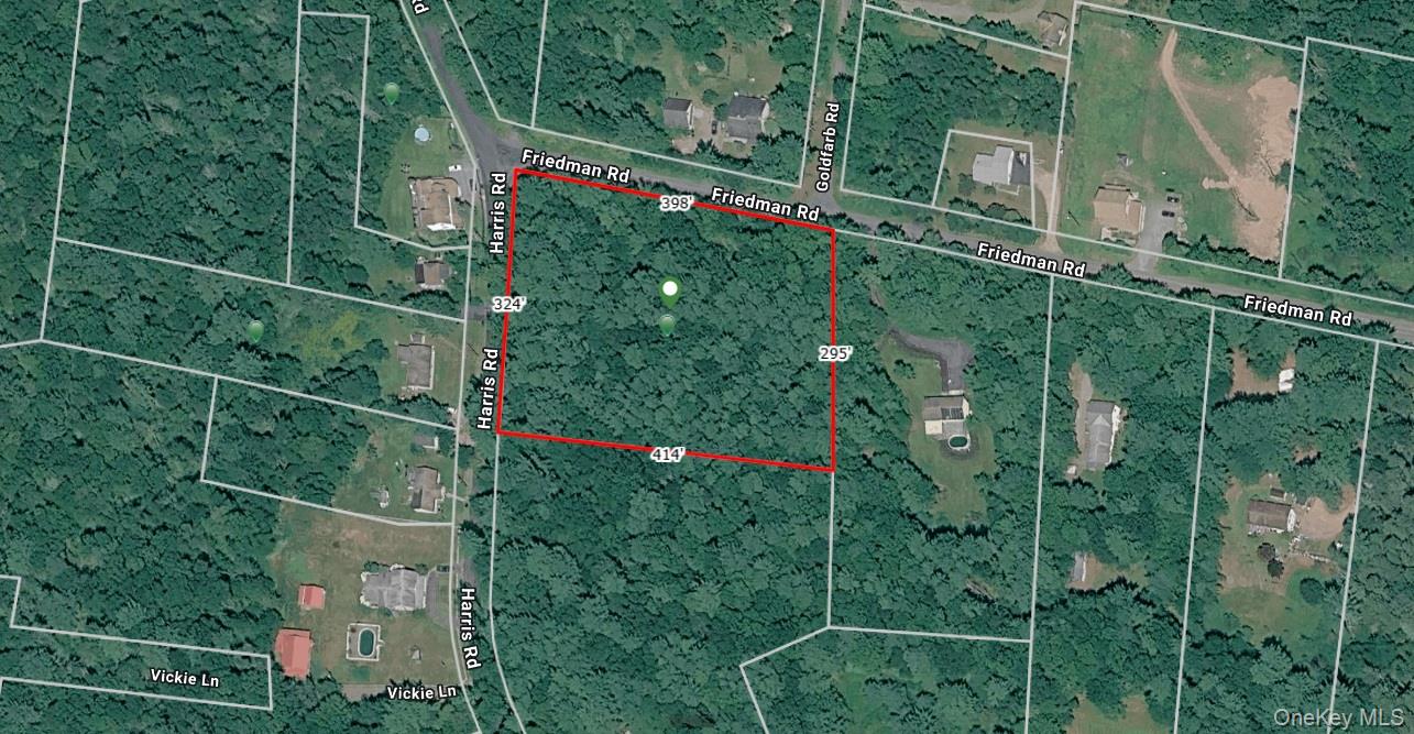 Harris Road Harris, NY 12742 - Photo 9 of 9 Gallery Image 9