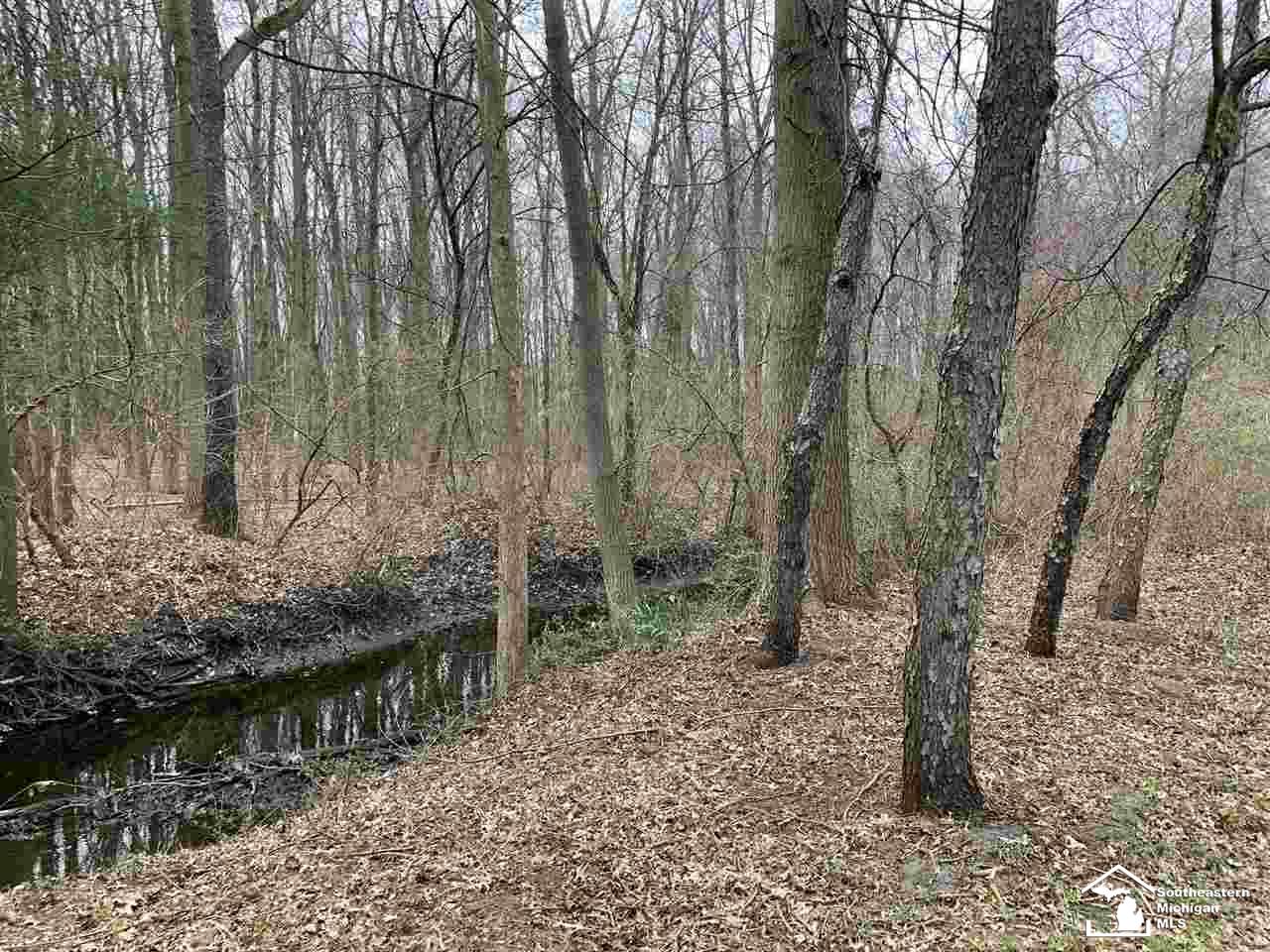 31861 Sibley Road Romulus, MI 48174 - Photo 88 of 94 50010032-87.JPG