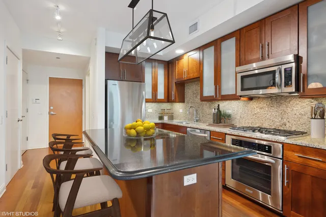 $860,000 | 505 North McClurg Court, Unit 203, Chicago, IL 60611