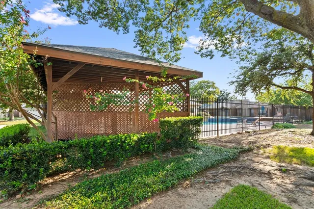a view of a backyard with plants and large trees