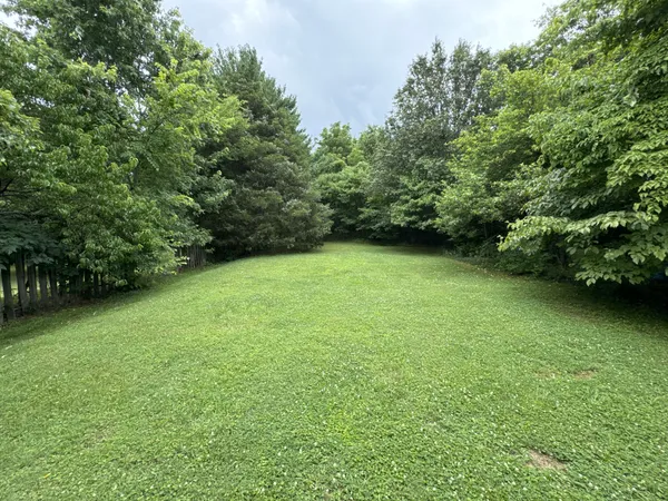 a view of a green yard