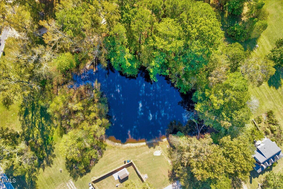2805 Mary Marvin Trail Willow Spring, NC 27592 - Photo 27 of 33 a view of a garden with plants