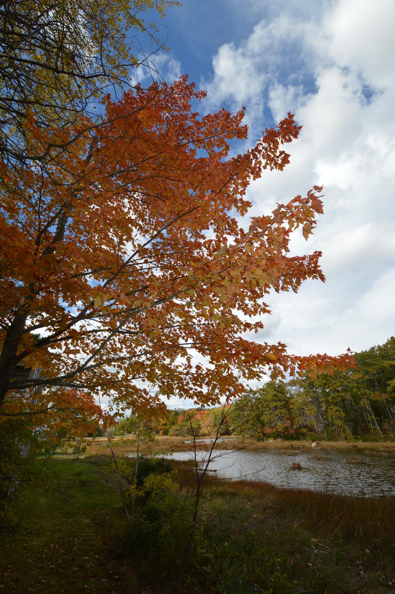 25 Dyke Road, Unit 25 Kennebunkport, ME 04046 - Photo 3 of 13 A sweet place 005