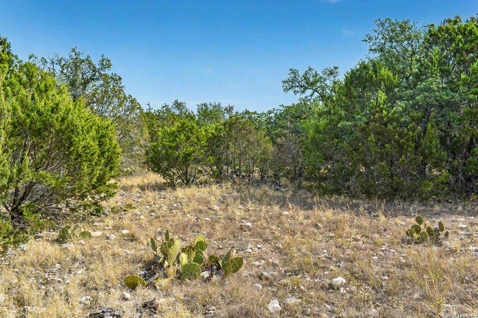 9 Broken Arrow Road Harper, TX 78631 - Photo 13 of 19 a view of a yard with plants and tree