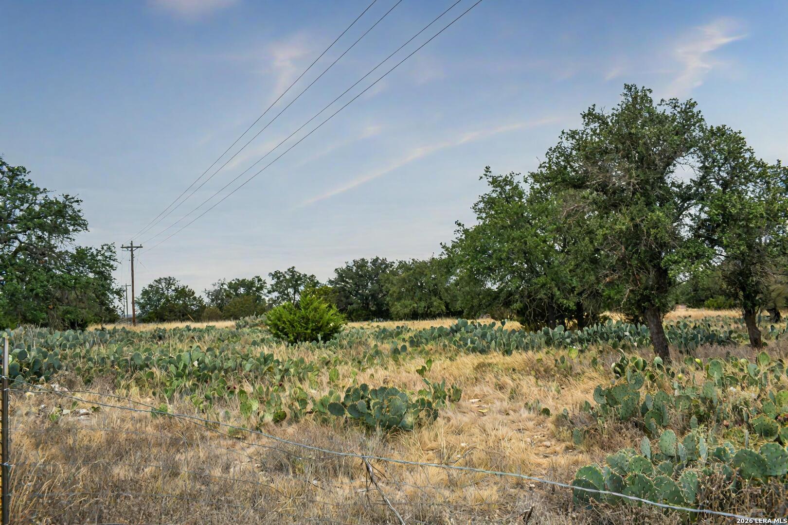 9 Broken Arrow Road Harper, TX 78631 - Photo 15 of 19 a view of a yard with a tree