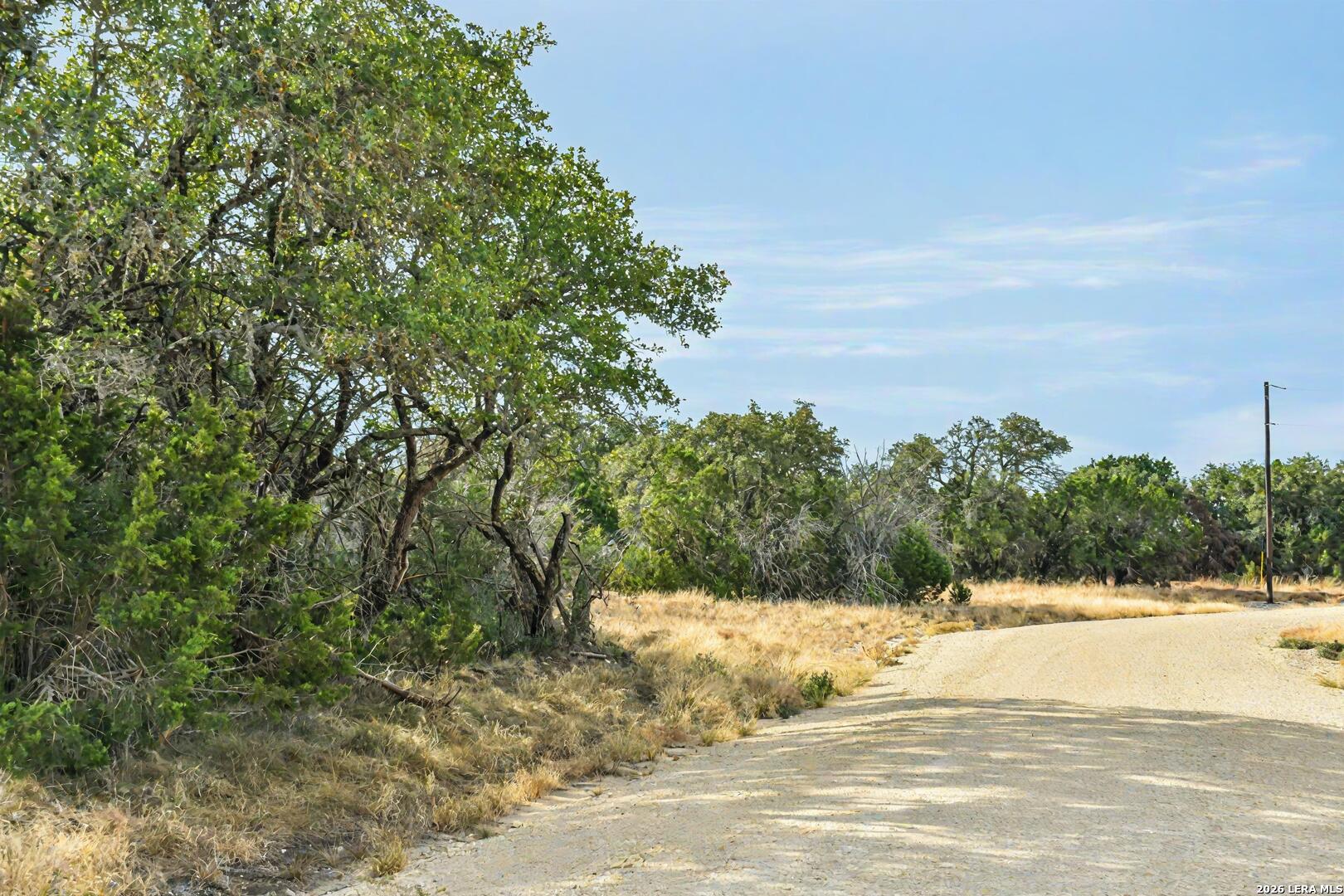 9 Broken Arrow Road Harper, TX 78631 - Photo 6 of 19 a view of a yard with trees