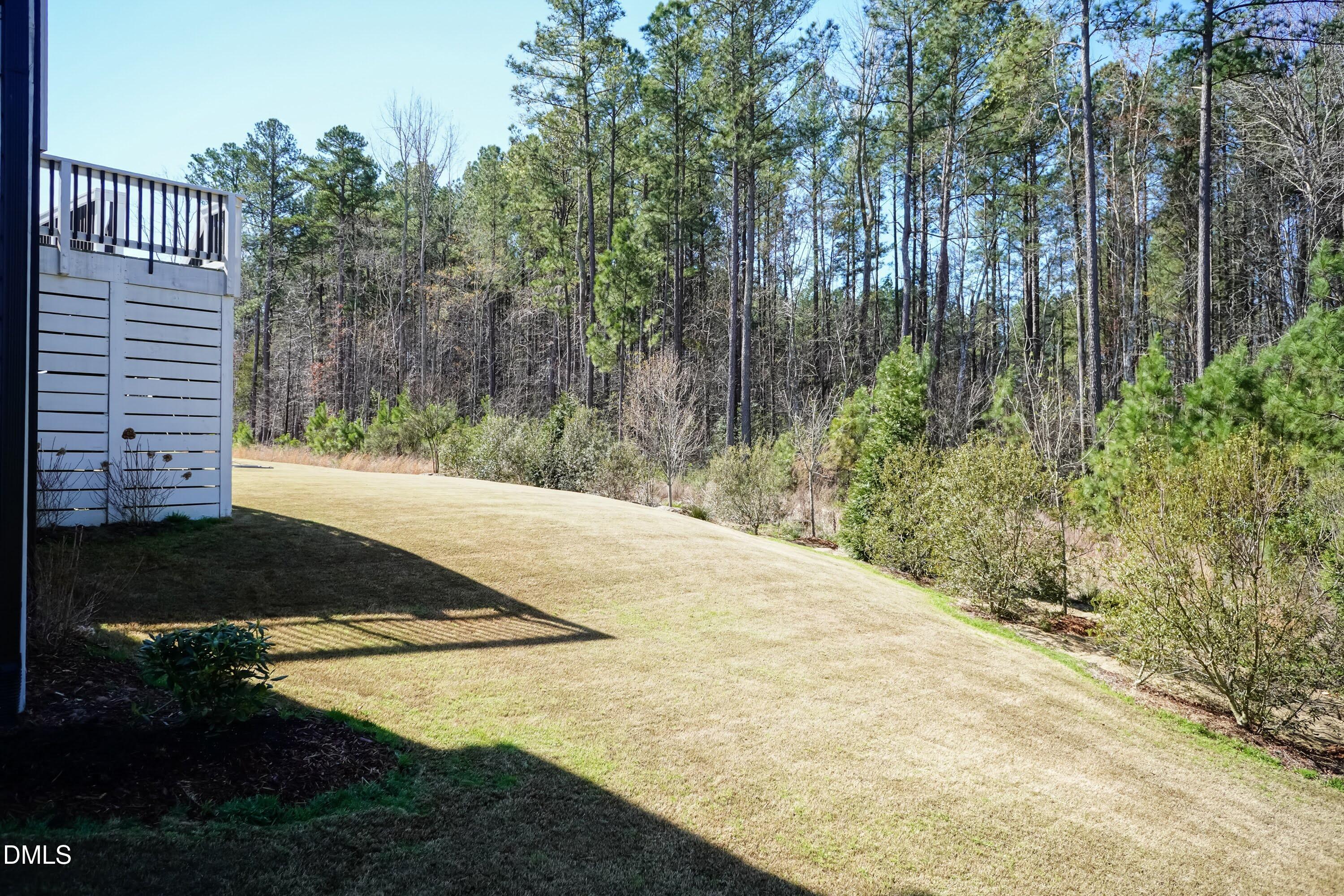 441 Bertram Valley Road Apex, NC 27523 - Photo 8 of 77 Back Yard 02