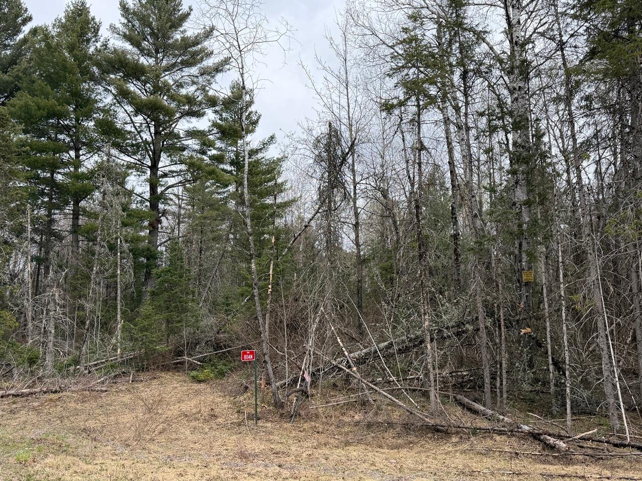 8114 North Cth G Mercer, WI 54547 - Photo 12 of 24 Gallery Image 12