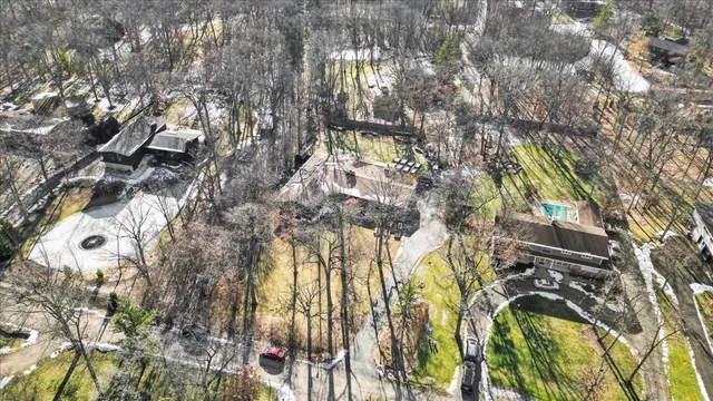 a close up of a plant in a garden