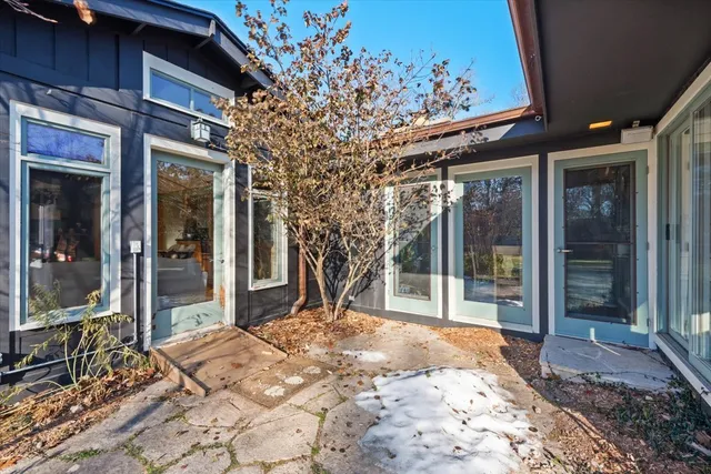 a view of a backyard with a large tree
