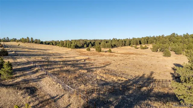 a view of a city with lots of trees