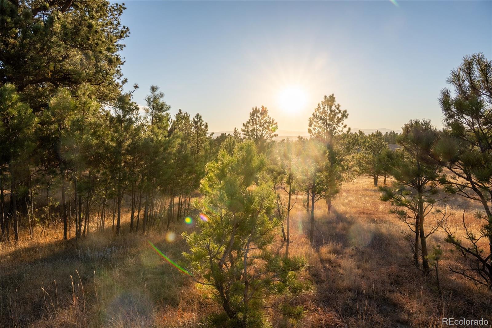 N/a Woodhaven Ridge Road Parker, CO 80134 - Photo 26 of 36 a view of a city with lots of trees