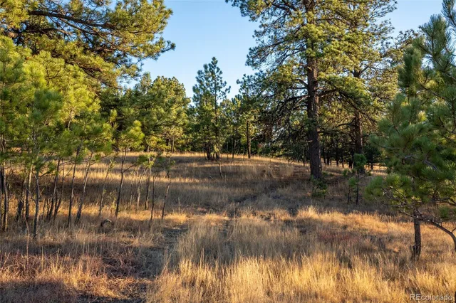 a view of lake with green space