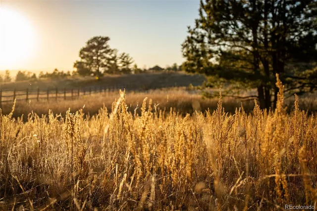 a view of lake with green space