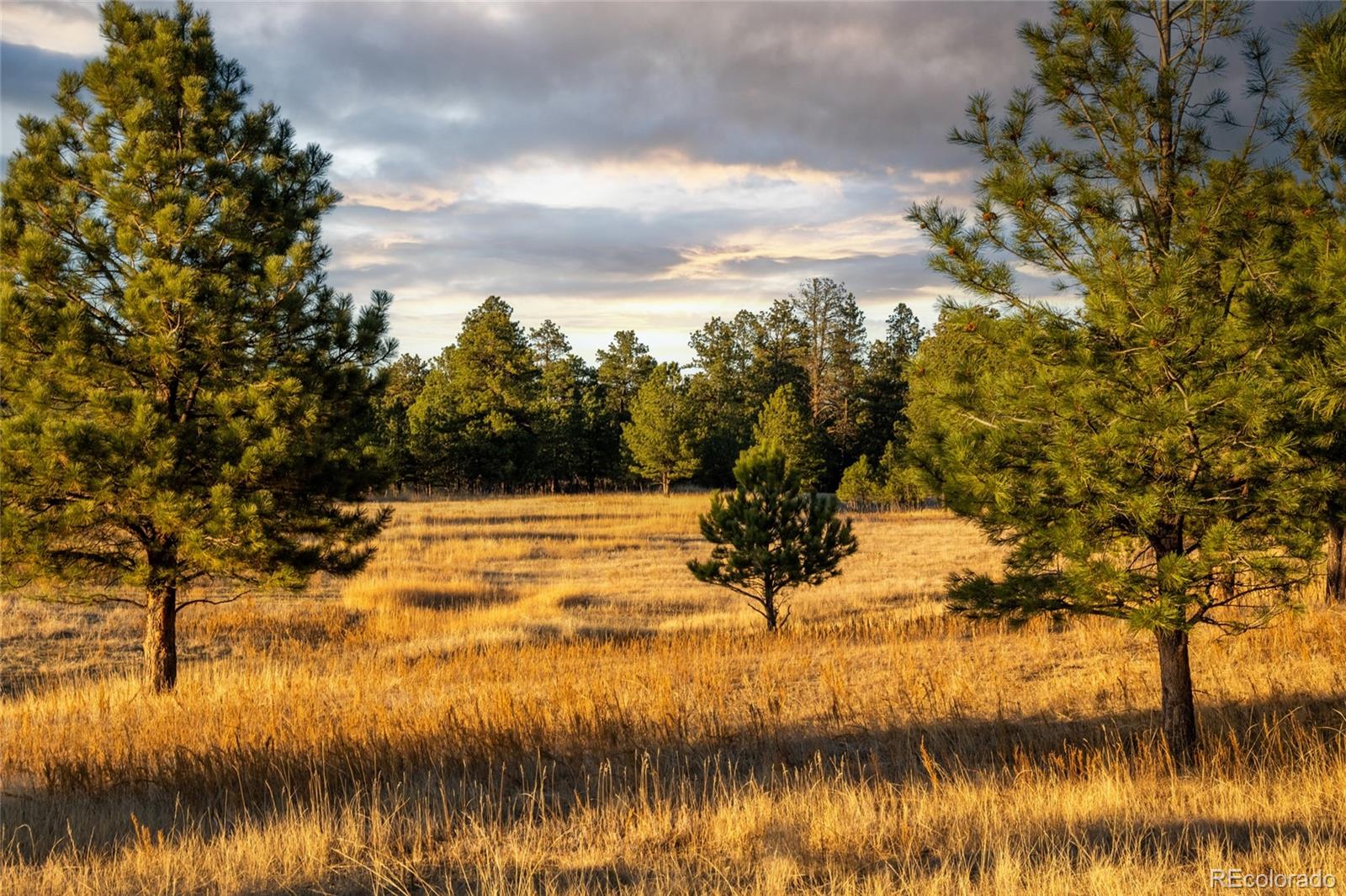 N/a Woodhaven Ridge Road Parker, CO 80134 - Photo 8 of 36 a view of lake
