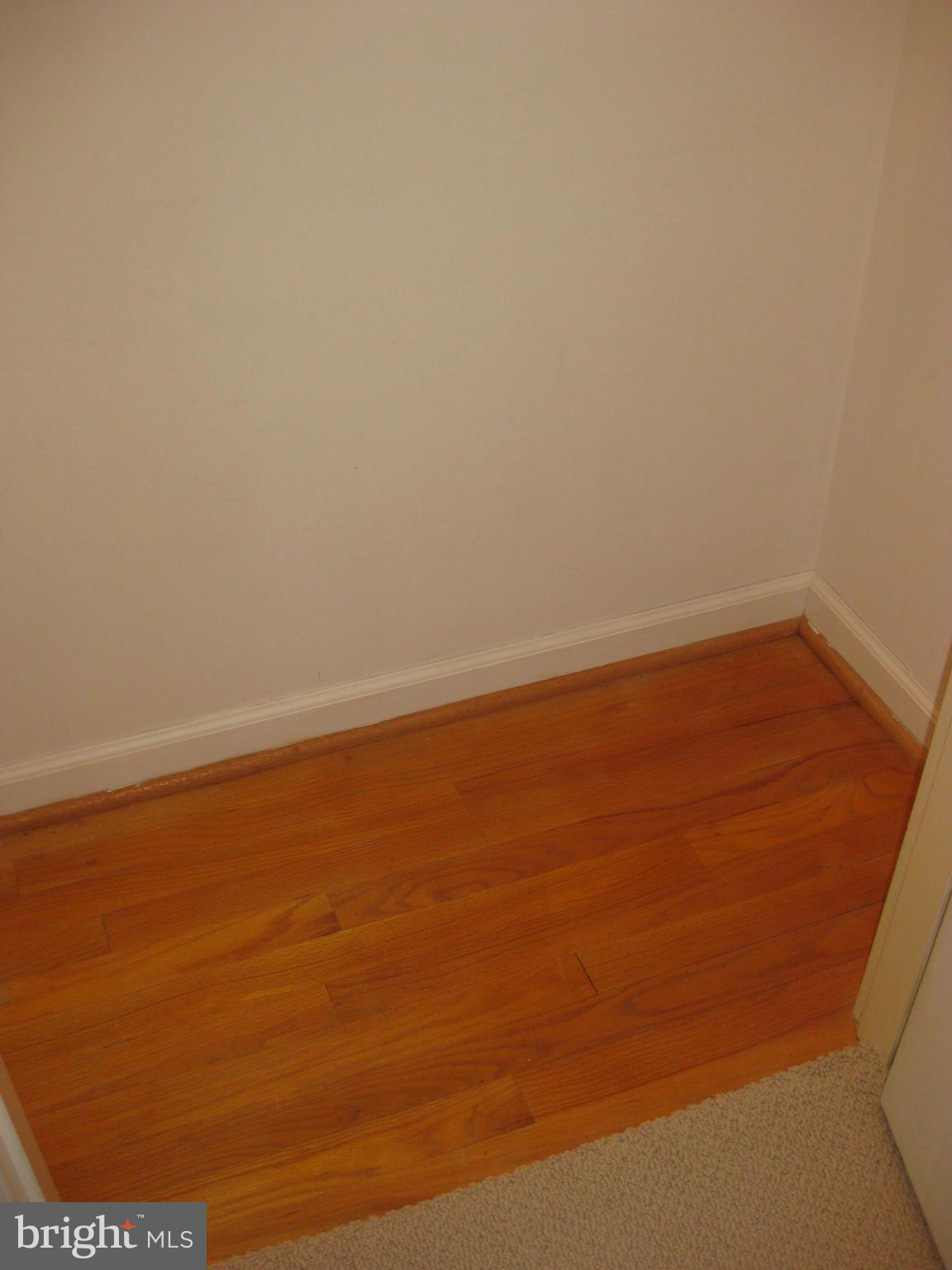 1002 Timber Trail Road Baltimore, MD 21286 - Photo 17 of 30 Hardwood under Carpet