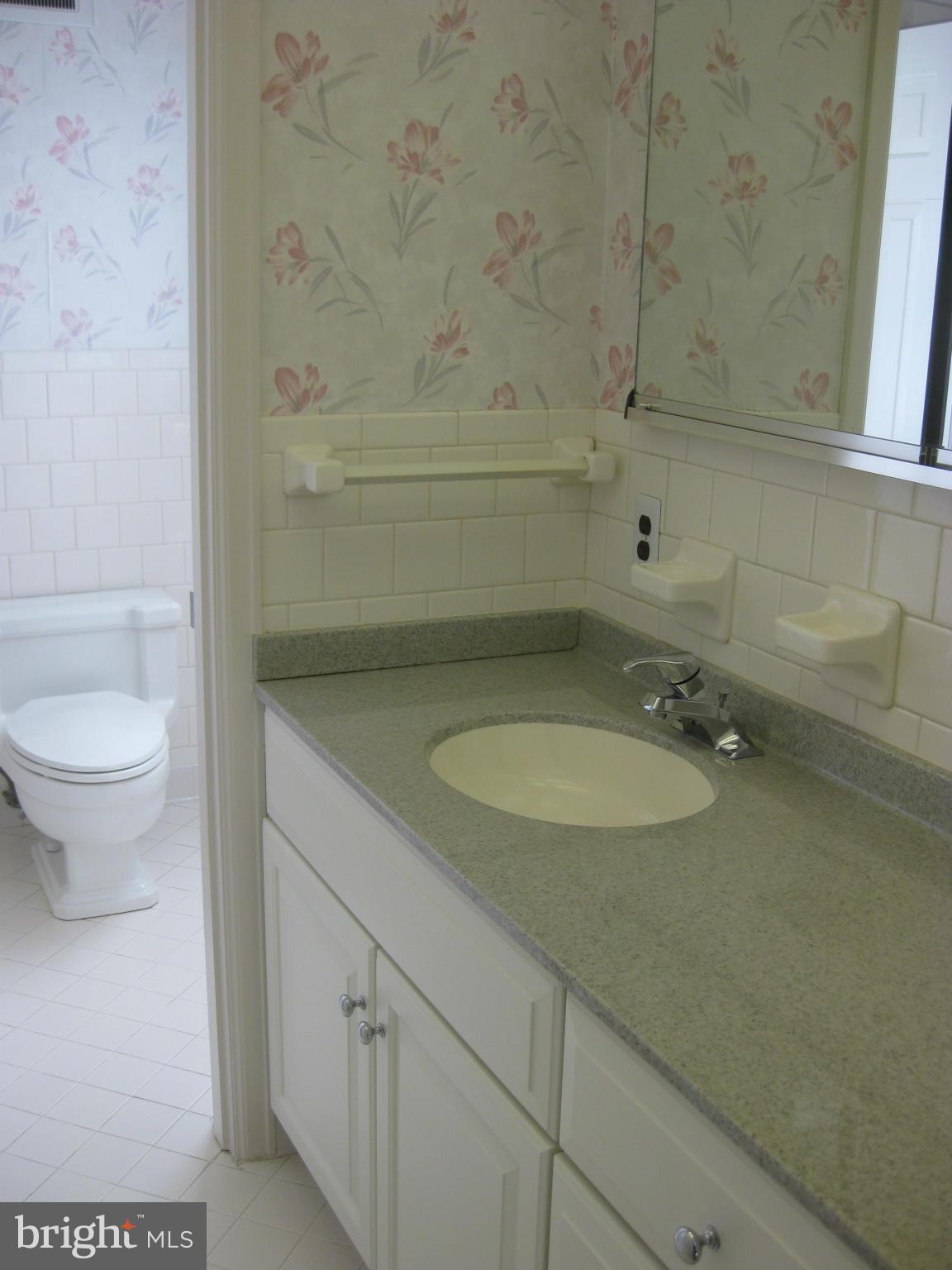 1002 Timber Trail Road Baltimore, MD 21286 - Photo 19 of 30 Bath (Master)