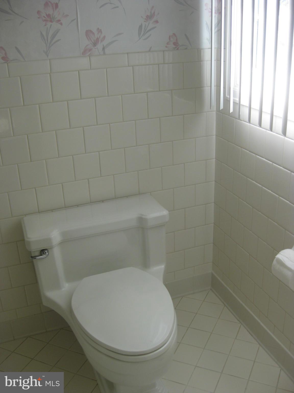 1002 Timber Trail Road Baltimore, MD 21286 - Photo 20 of 30 Bath (Master)