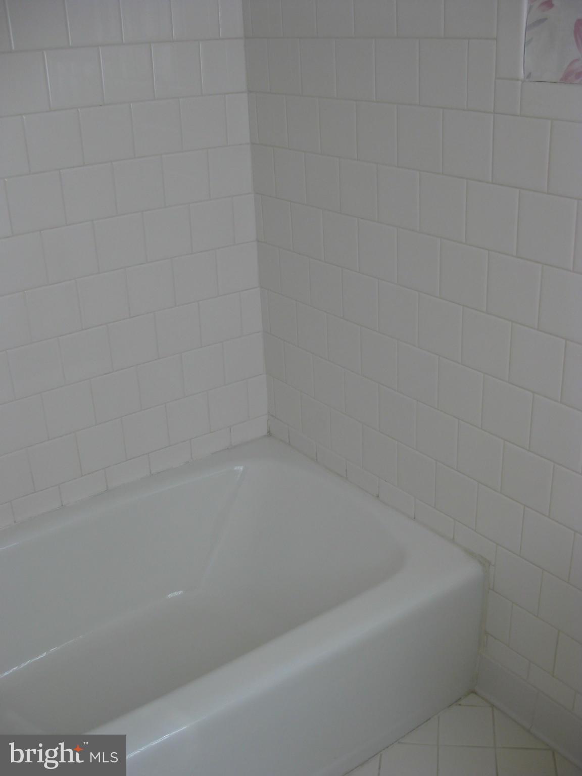 1002 Timber Trail Road Baltimore, MD 21286 - Photo 21 of 30 Bath (Master)