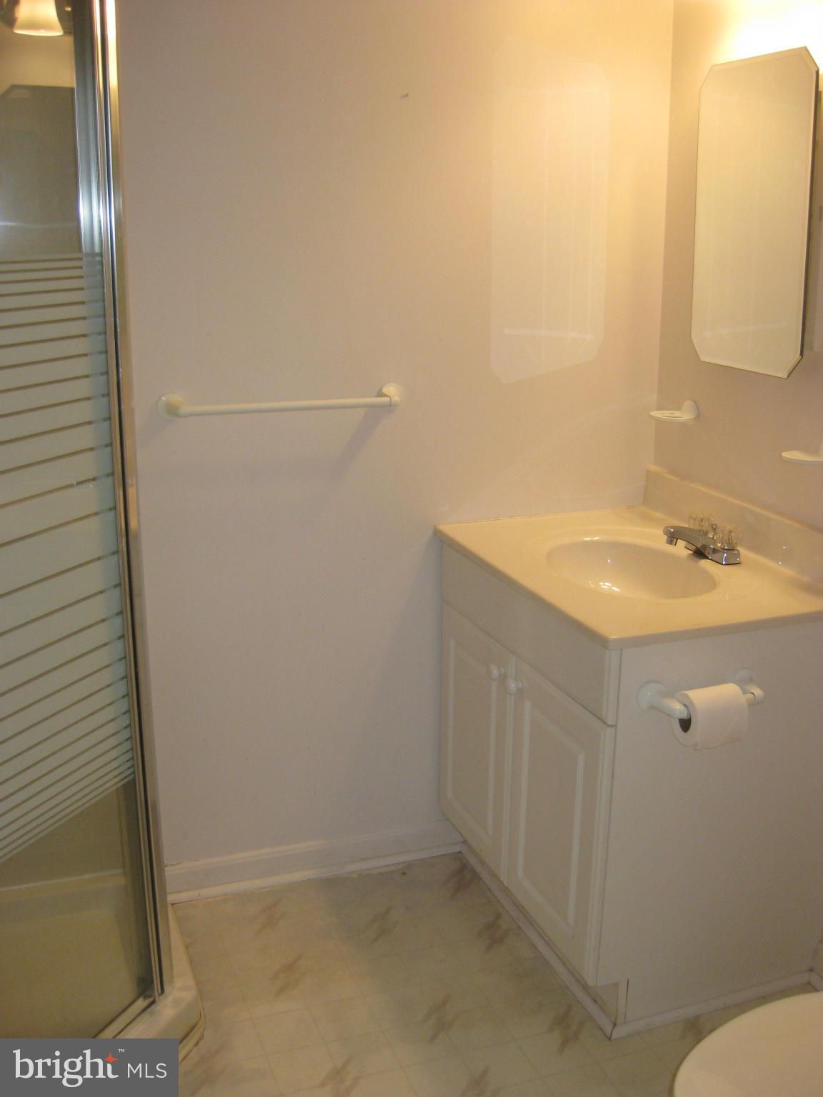 1002 Timber Trail Road Baltimore, MD 21286 - Photo 29 of 30 Bath on LLVL