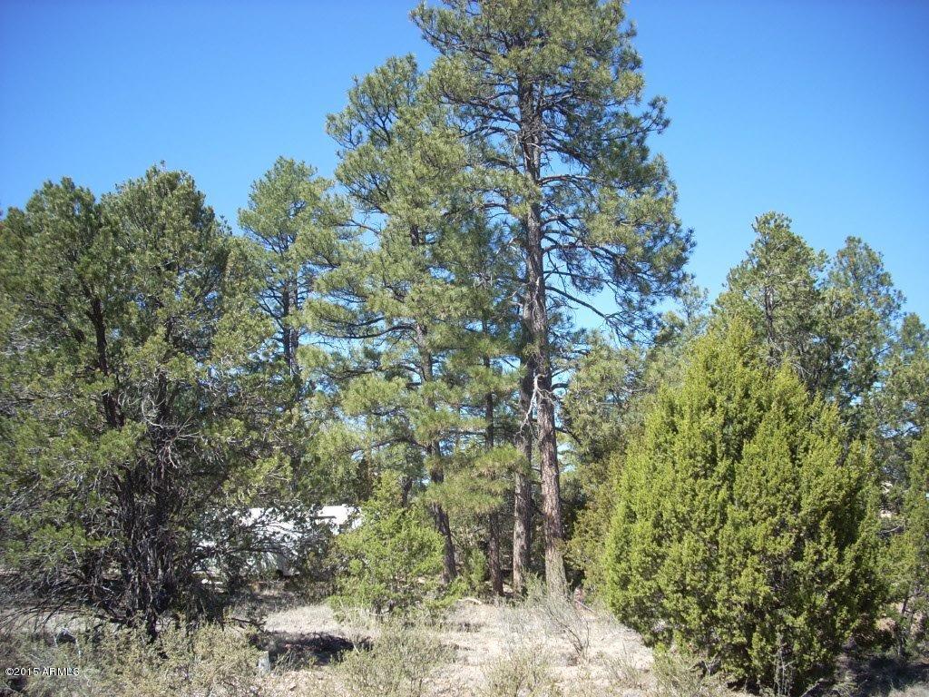 DSCN8363.jpg
