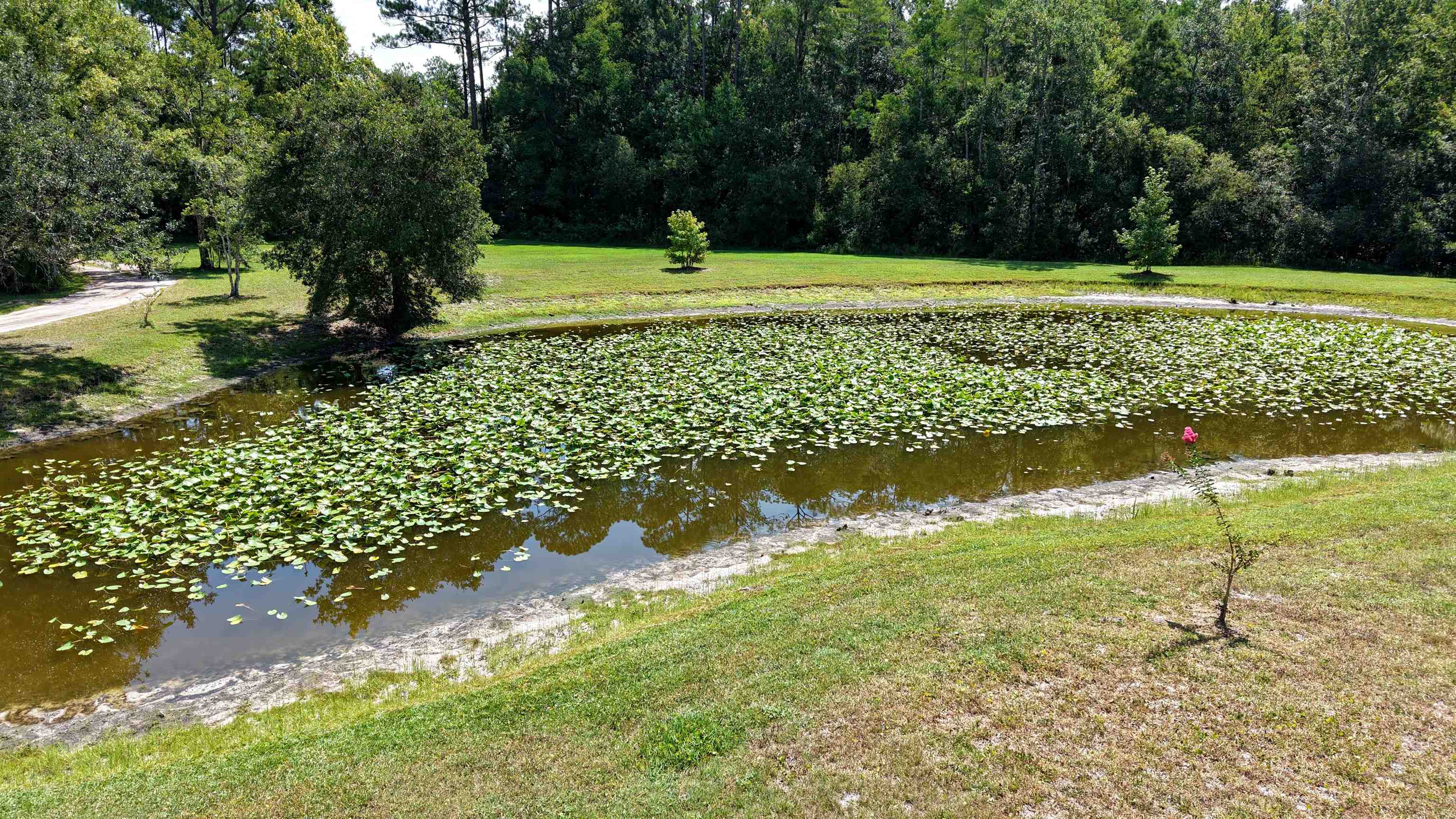 2111 Forbes Road St. Augustine, FL 32092 - Photo 64 of 66