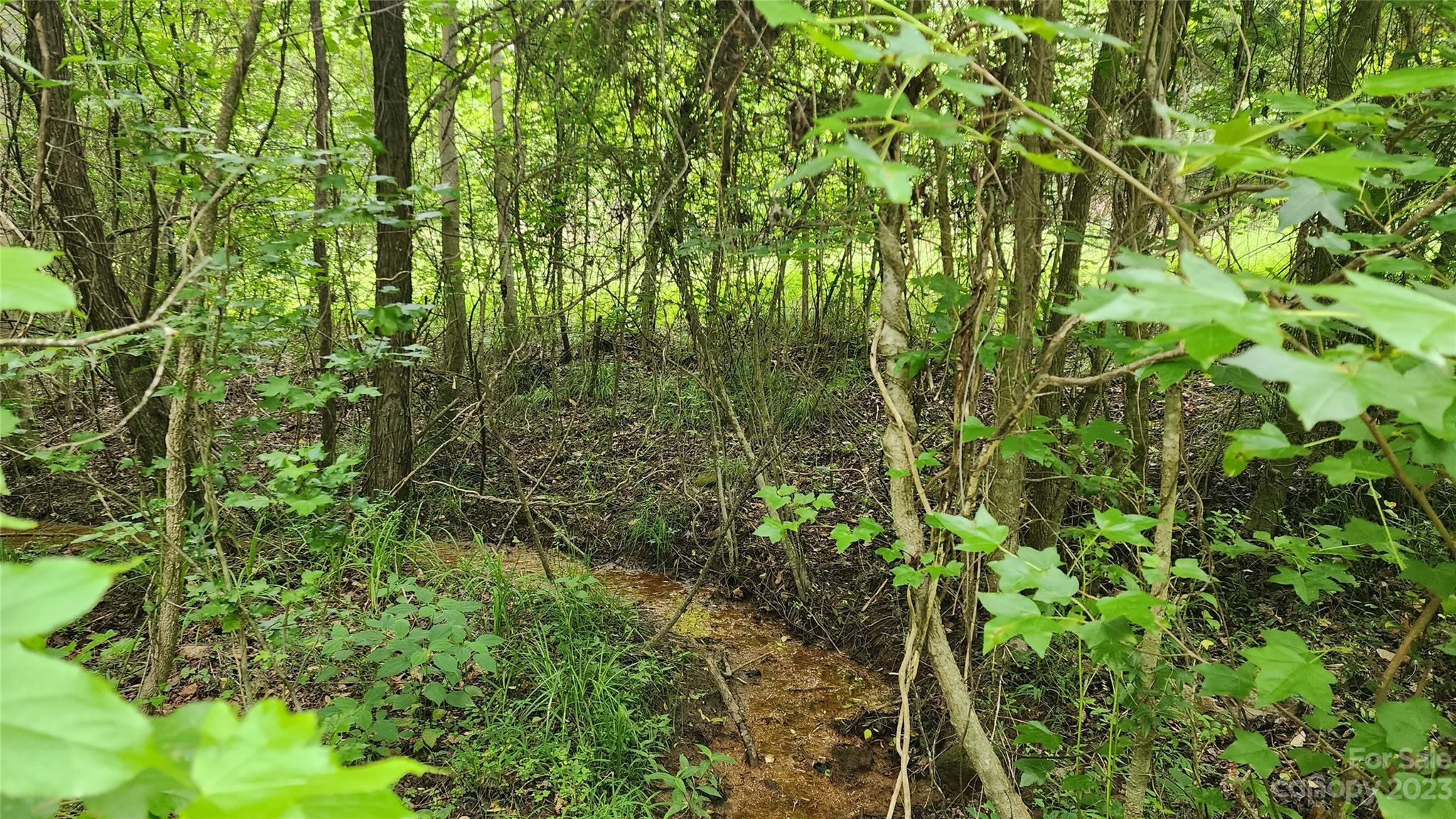 7911 Sims Road Waxhaw, NC 28173 - Photo 39 of 48 a view of a lush green forest