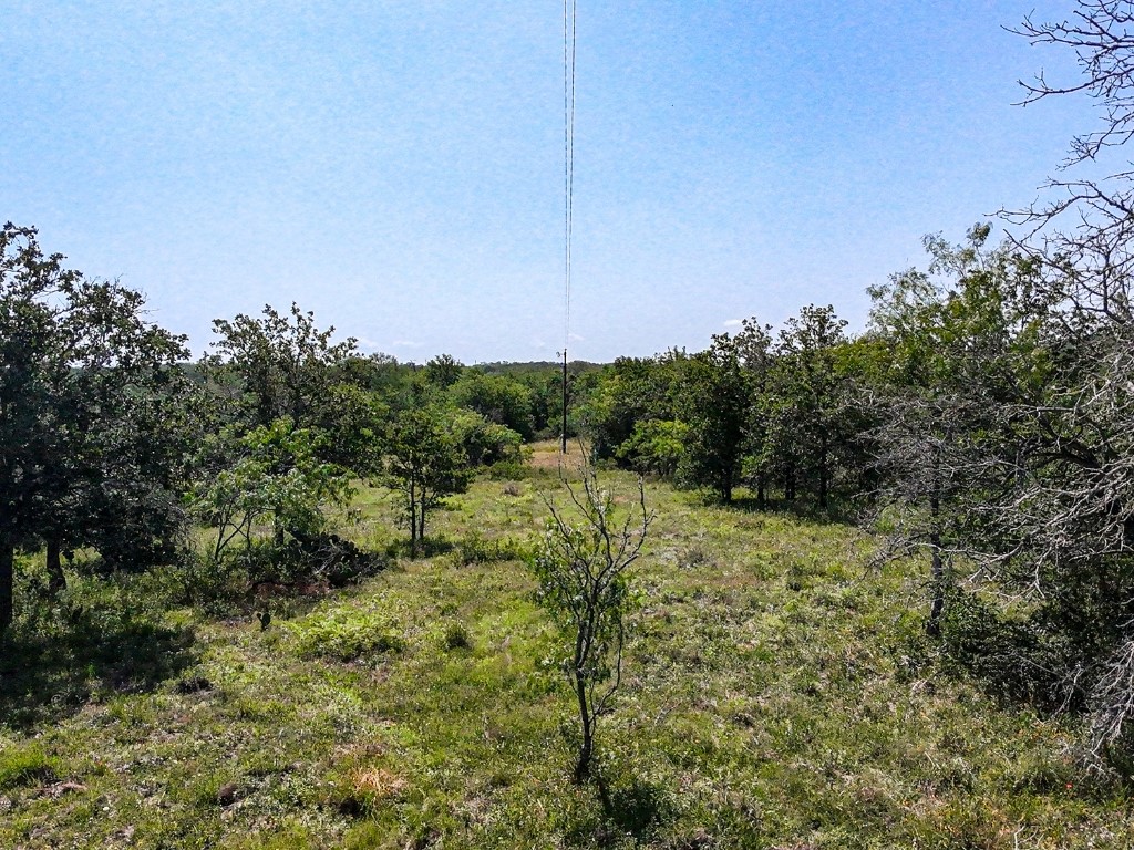 502 Robertson Road Smiley, TX 78159 - Photo 21 of 31 a big yard with lots of green space
