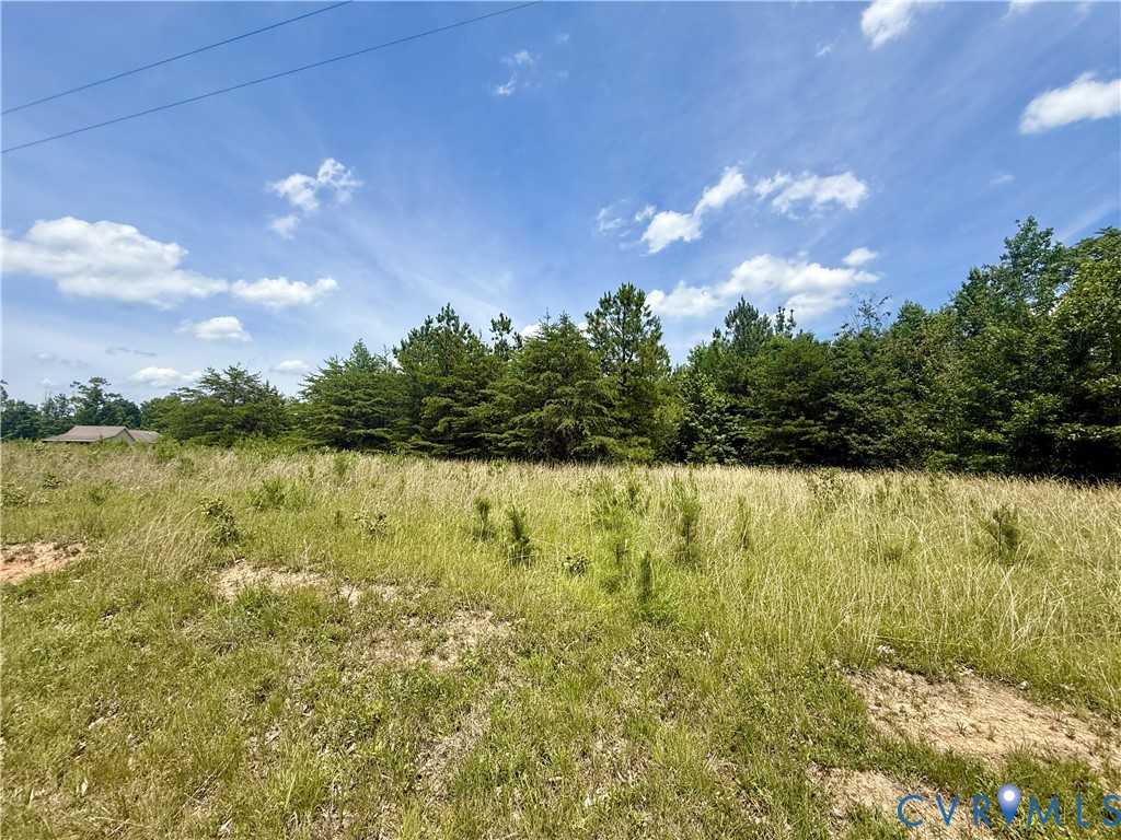 Lot 25 Whispering Wood Road Meherrin, VA 23954 - Photo 6 of 13