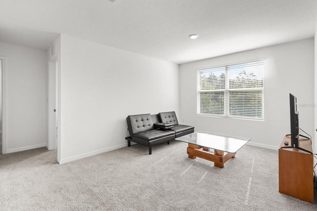 13691 Southwest 69th Terrace Ocala, FL 34473 - Photo 28 of 44 a living room with furniture and a flat screen tv