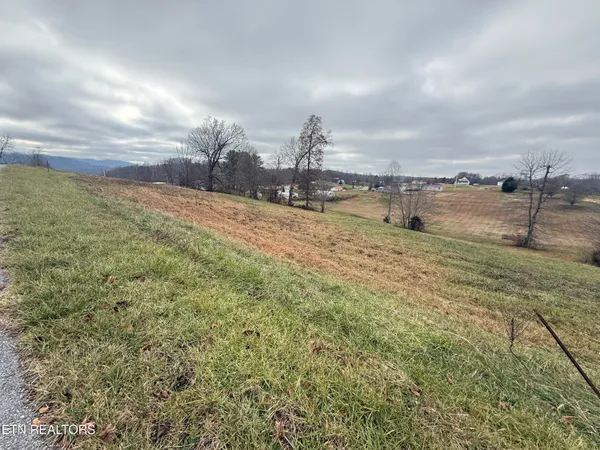 $25,000 | Lot #19 Oak Point Drive, Jonesville, VA 24263