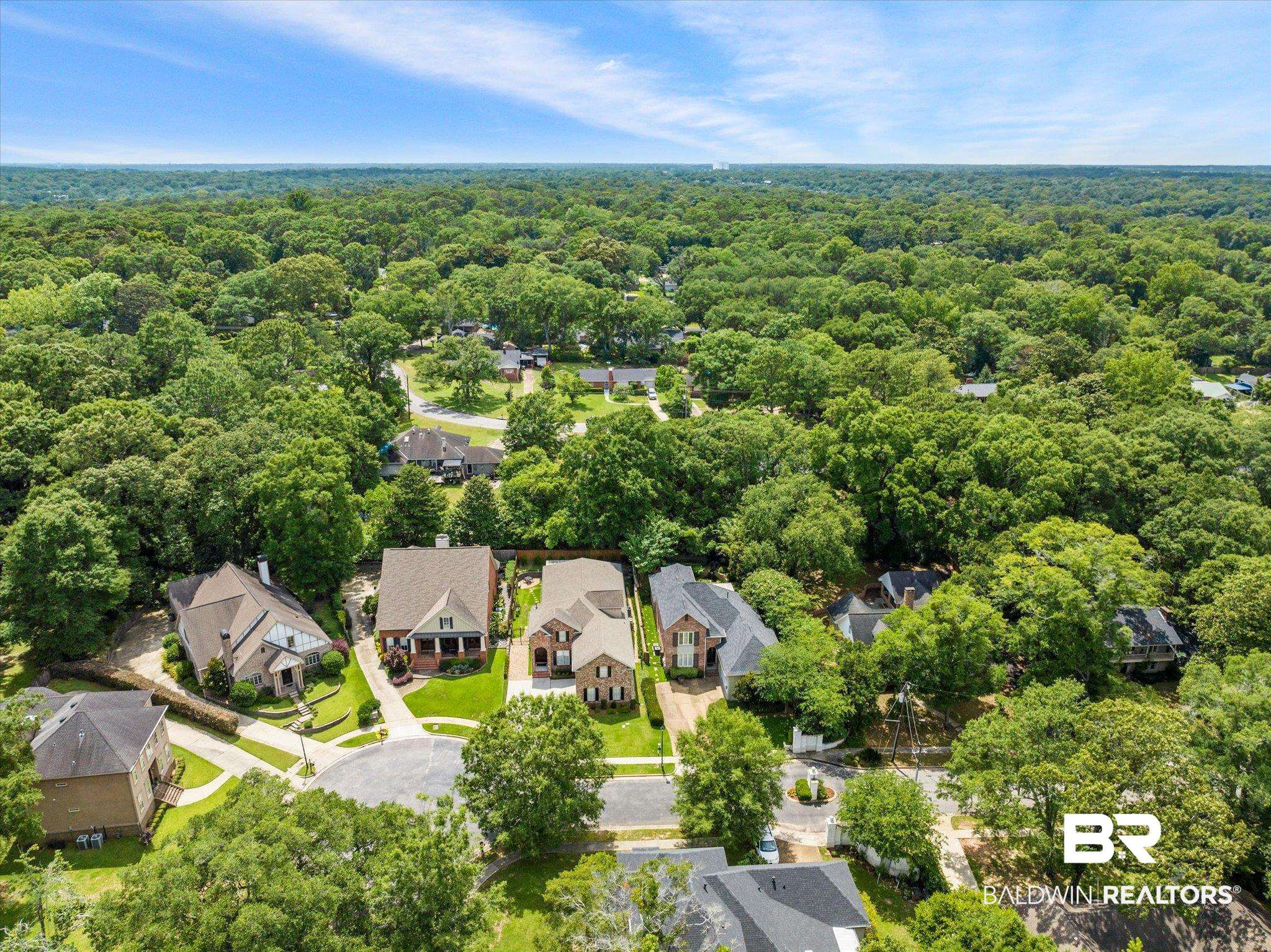 804 Country Club Road Mobile, AL 36609 - Photo 59 of 63 Aerial view