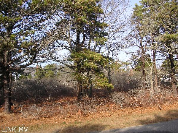 11 Schoolhouse Road Edgartown, MA 02539 - Photo 2 of 2 http://d1qzqeyxiitrap.cloudfront.net/photos/17285/600/e0ef9885.jpg