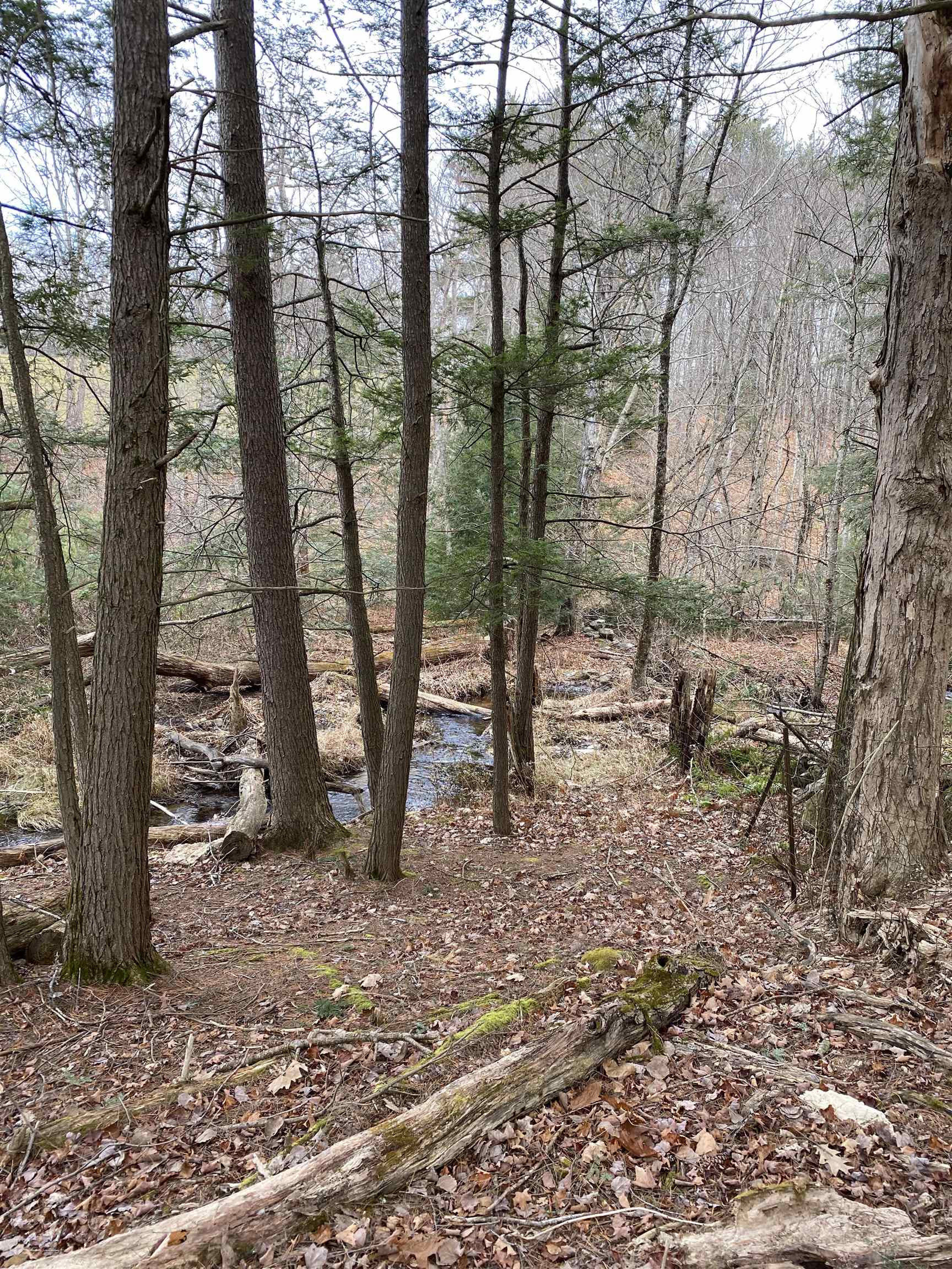 0 Echo Valley Farm Road Deerfield, NH 03037 - Photo 1 of 3