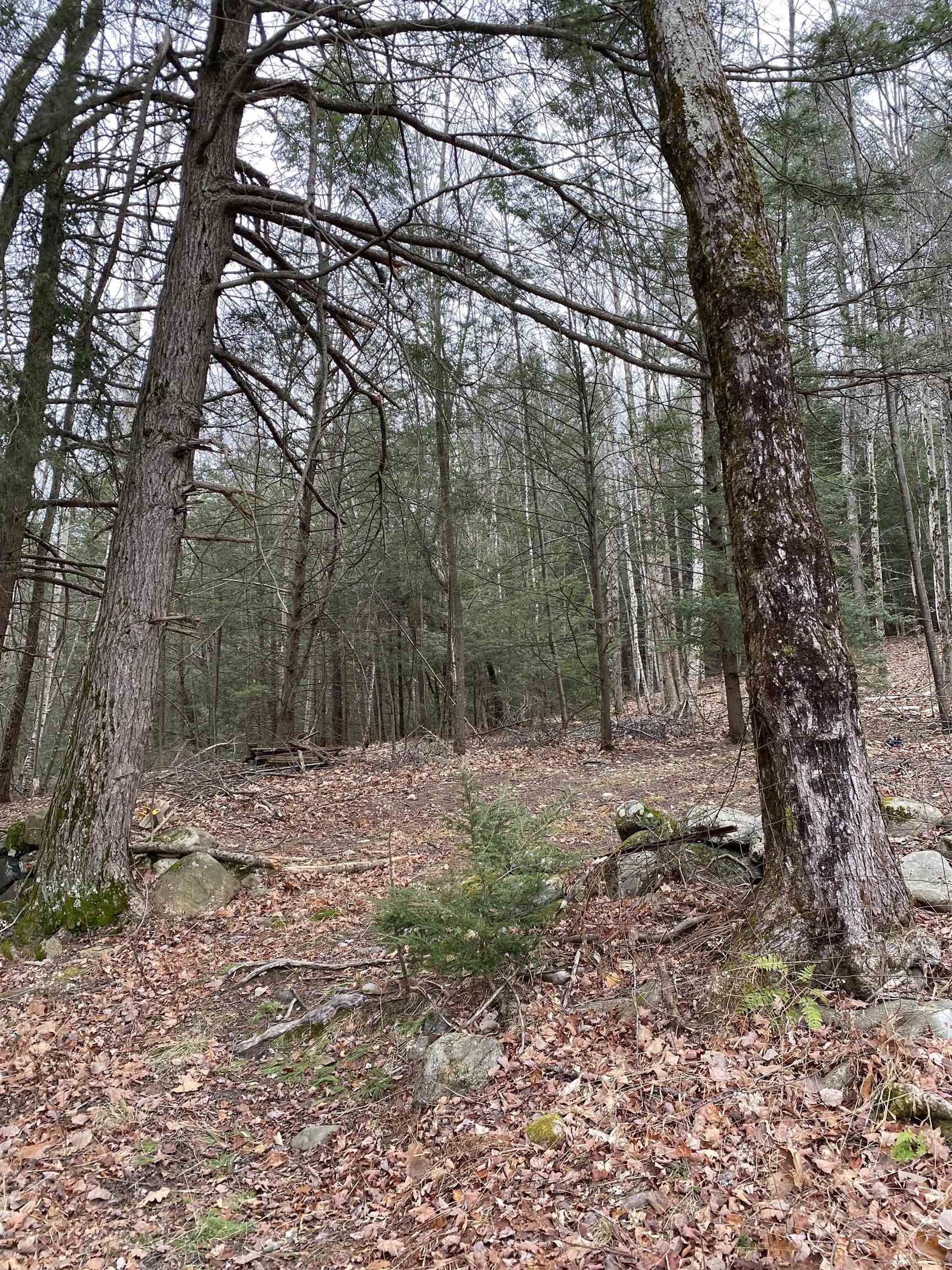 0 Echo Valley Farm Road Deerfield, NH 03037 - Photo 3 of 3