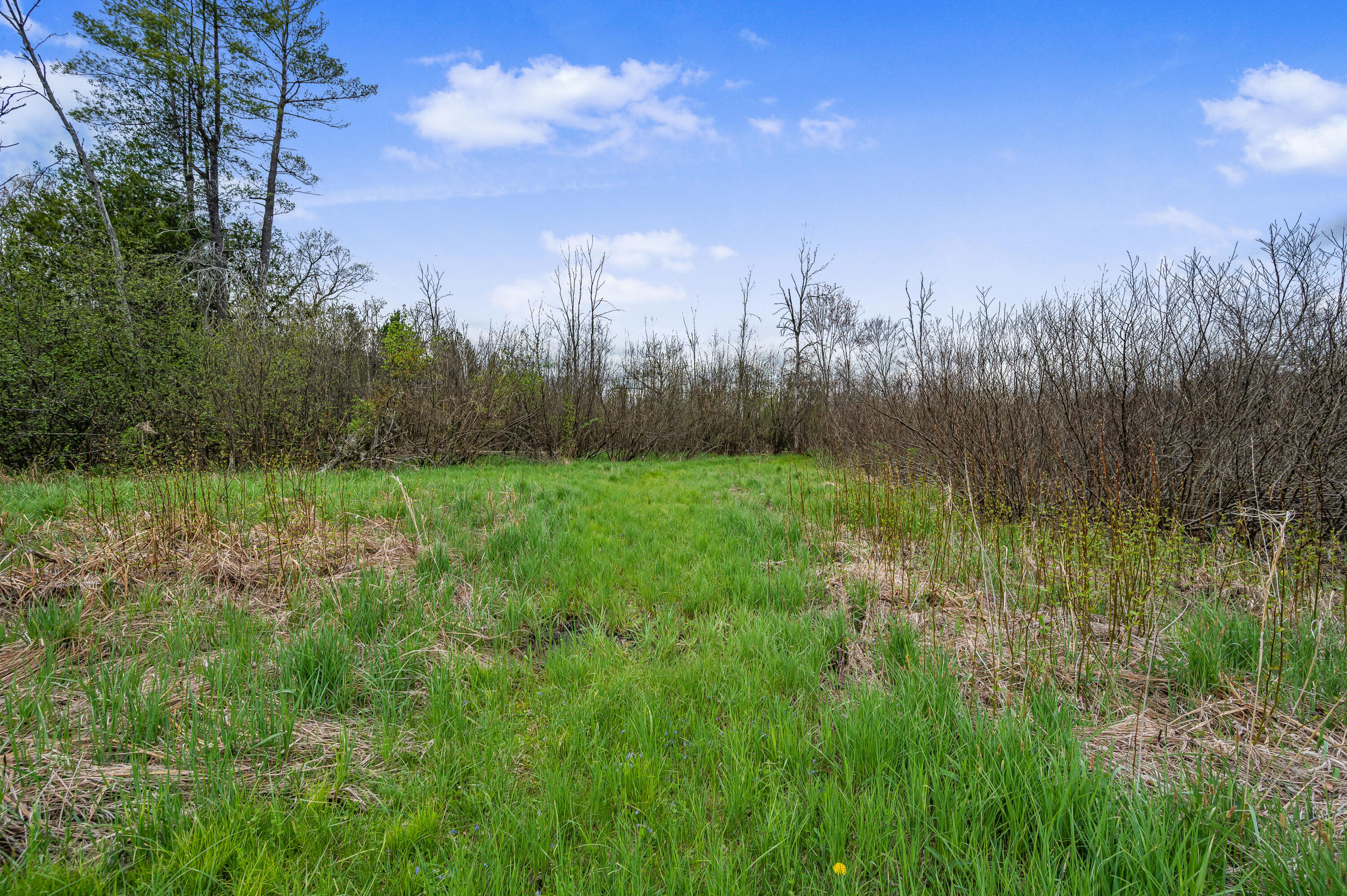 718 3 Mile Road Luther, MI 49656 - Photo 29 of 33 718-W3MileRd-Luther-26