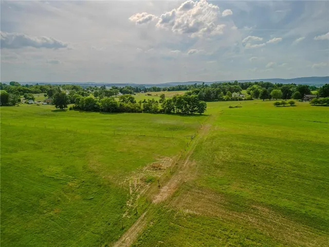 a view of a field with an trees