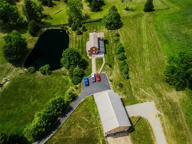 a view of a garden with plants and large trees