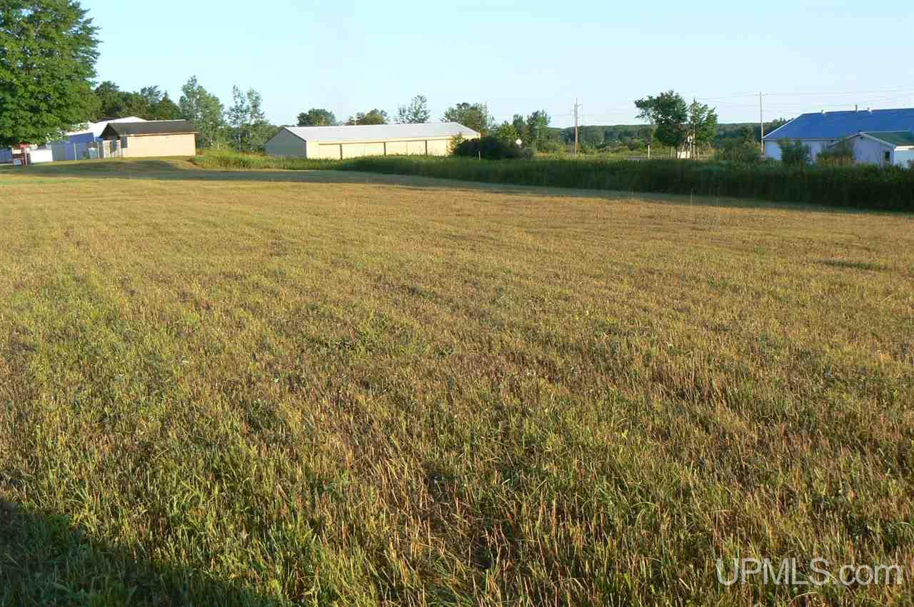 Tbd M94 Chatham, MI 49816 - Photo 4 of 5