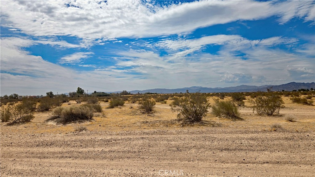 0 Riverside Road Newberry Springs, CA 92365 - Photo 7 of 23 Gallery Image 7
