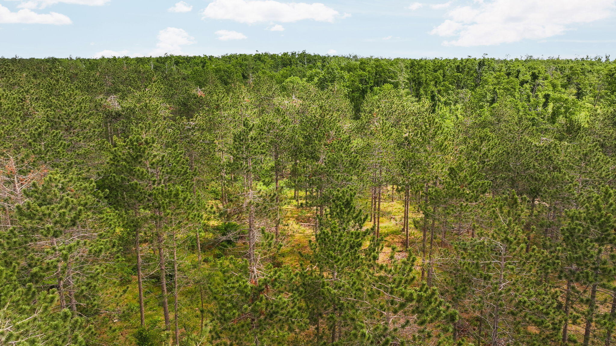 5793 Agren Road Lewiston, MI 49756 - Photo 24 of 39 Gallery Image 24
