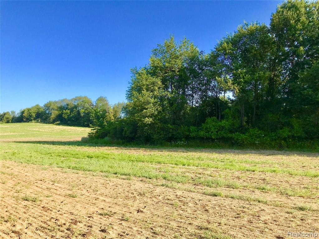 13725 Wilmore Road Stockbridge, MI 49285 - Photo 48 of 94