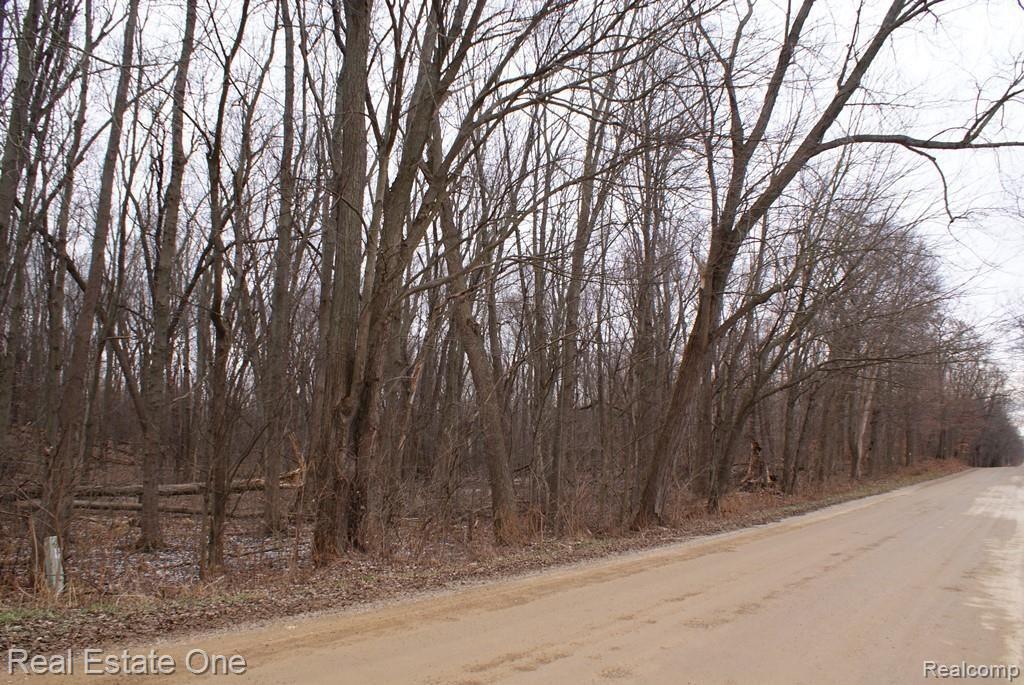 1 Gray Road Lapeer, MI 48446 - Photo 8 of 18