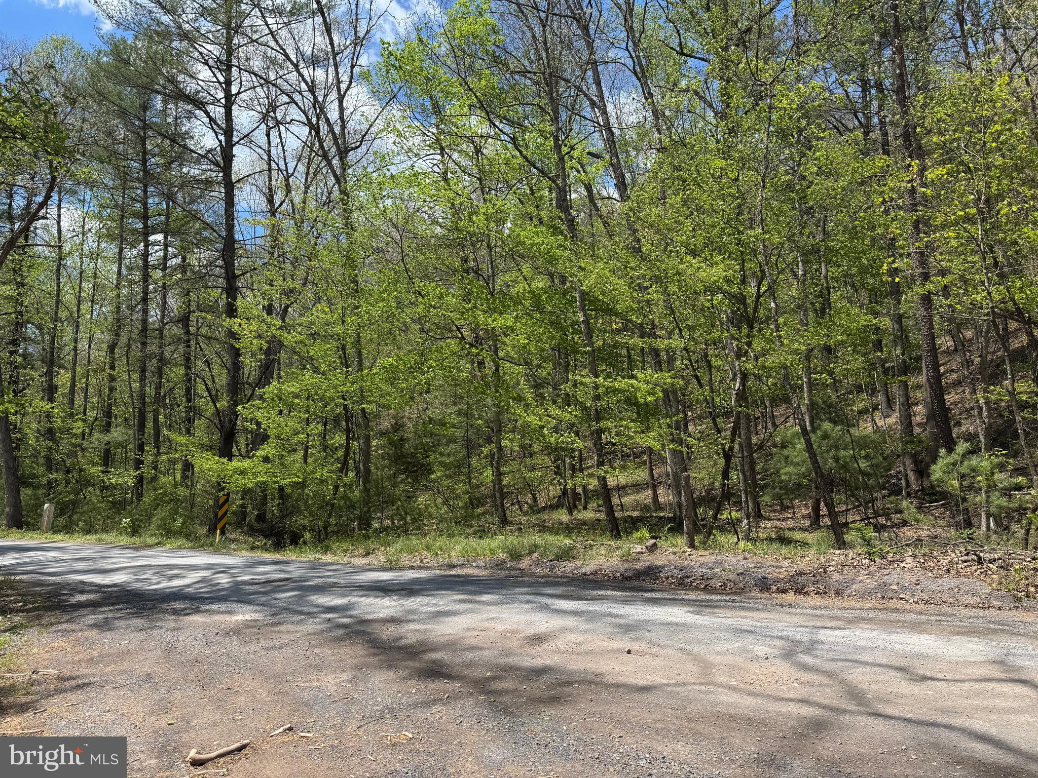0 Shockeysville Road Winchester, VA 22603 - Photo 12 of 17