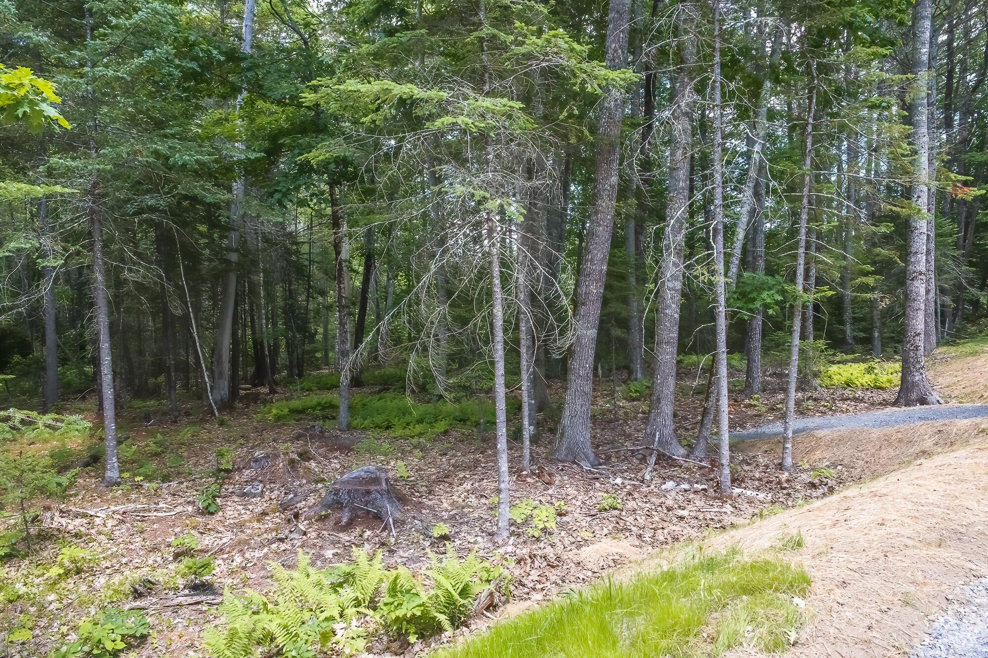 100 Back Meadow Road Damariscotta, ME 04543 - Photo 37 of 42 20220708_100_Back_Meadow_-36