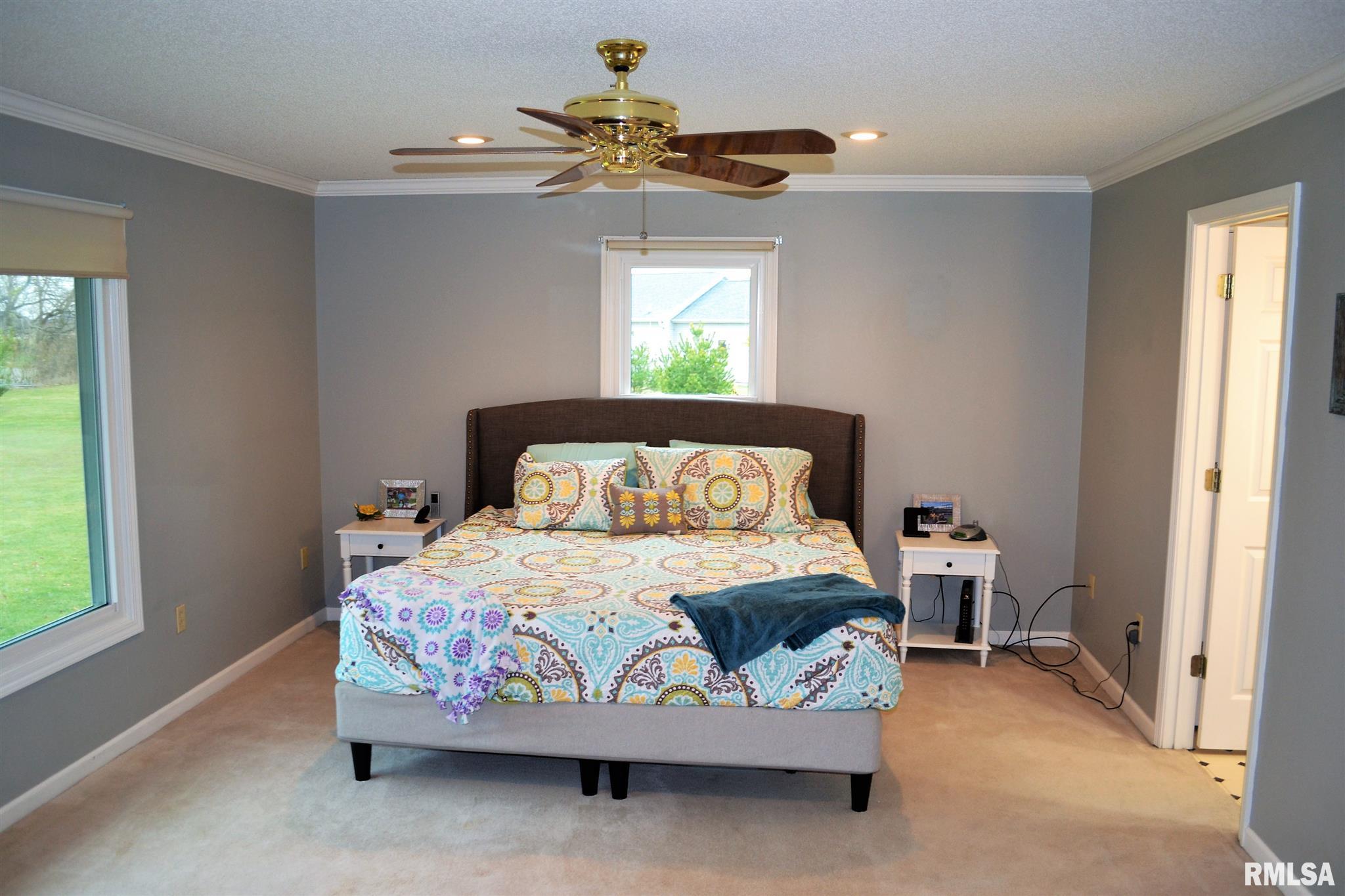 17 Drake Road Jacksonville, IL 62650 - Photo 17 of 38