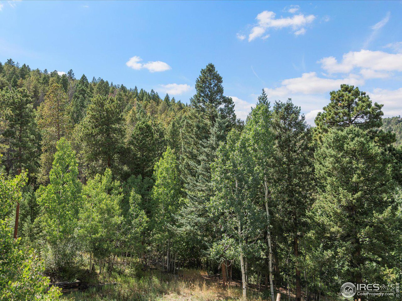 31851 Warrens Road Golden, CO 80403 - Photo 31 of 40 a view of a city