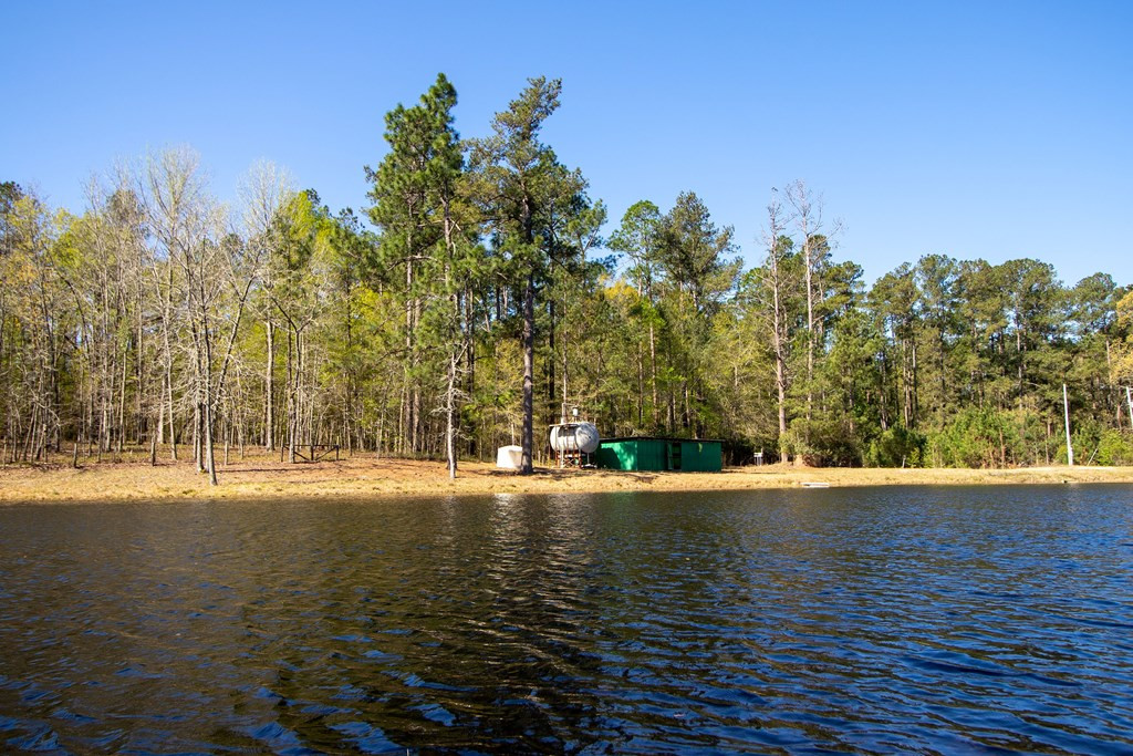 2115 Poplar Road Barnwell, SC 29812 - Photo 30 of 41