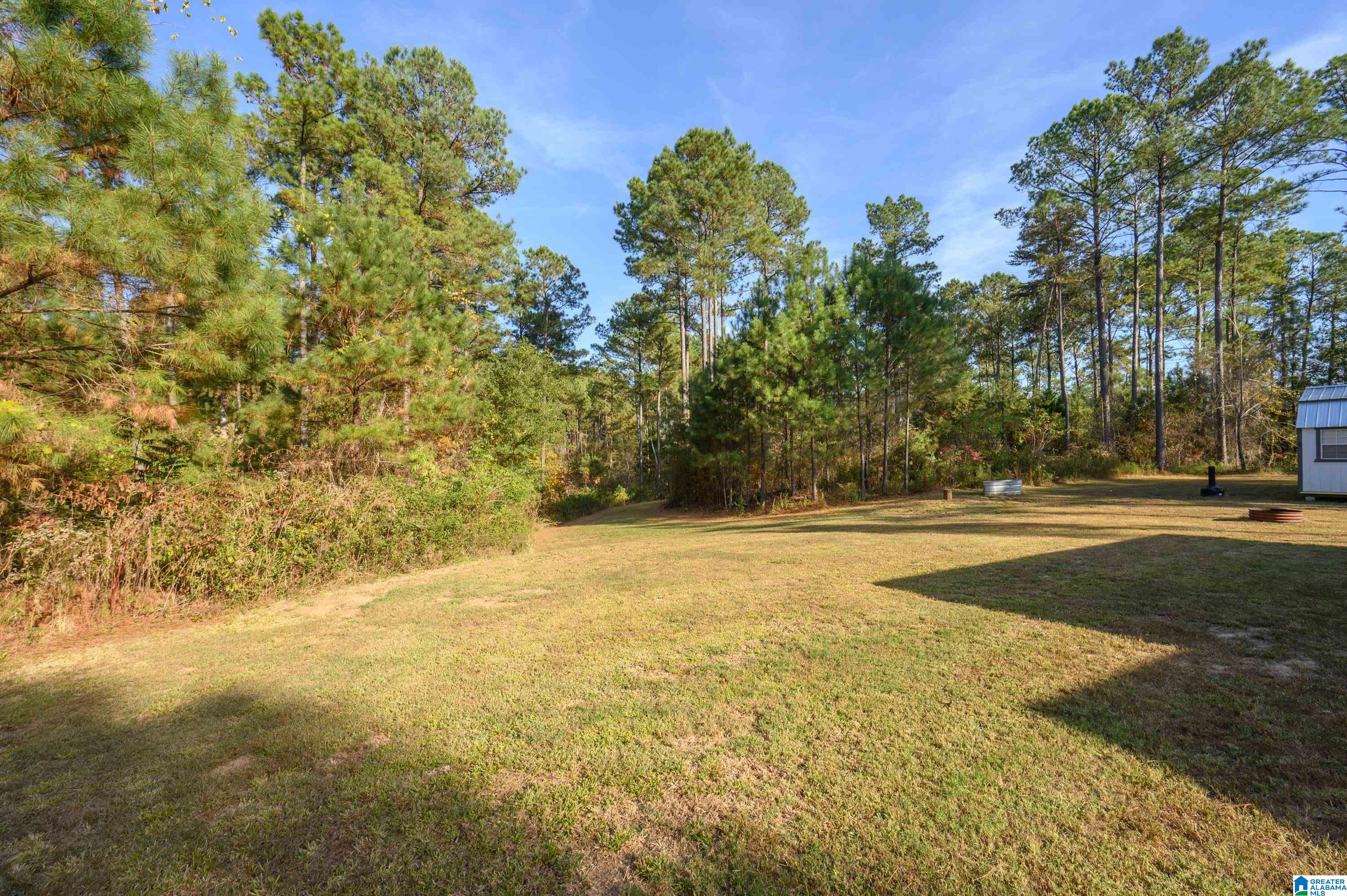 203 Gould Road Columbiana, AL 35051 - Photo 38 of 56